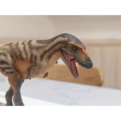 Mô Hình Khủng Long Gorgosaurus Tristan Model tỉ lệ 1/35 Chính hãng PNSO