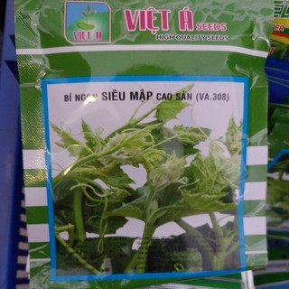 Bí ngô -hạt giống các loại