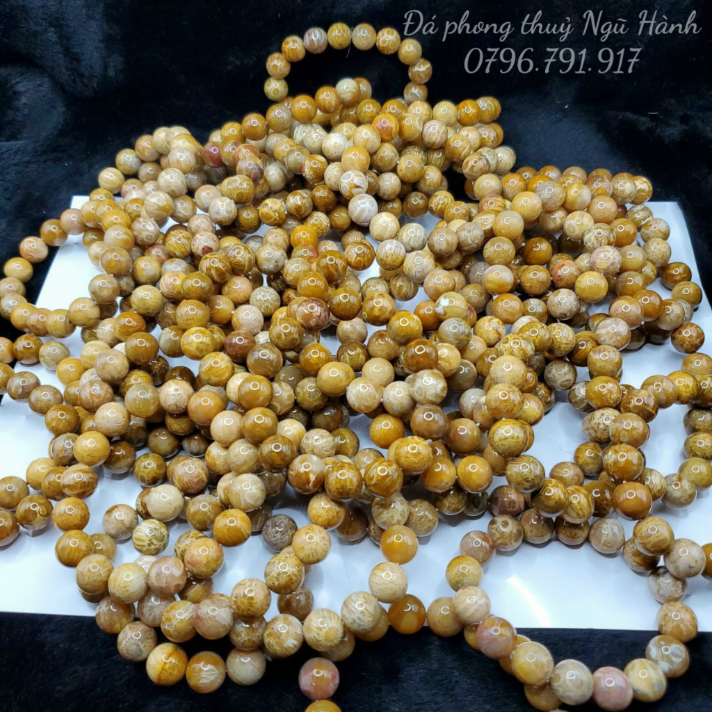 Vòng san hô hóa thạch vàng tự nhiên - có kiểm định