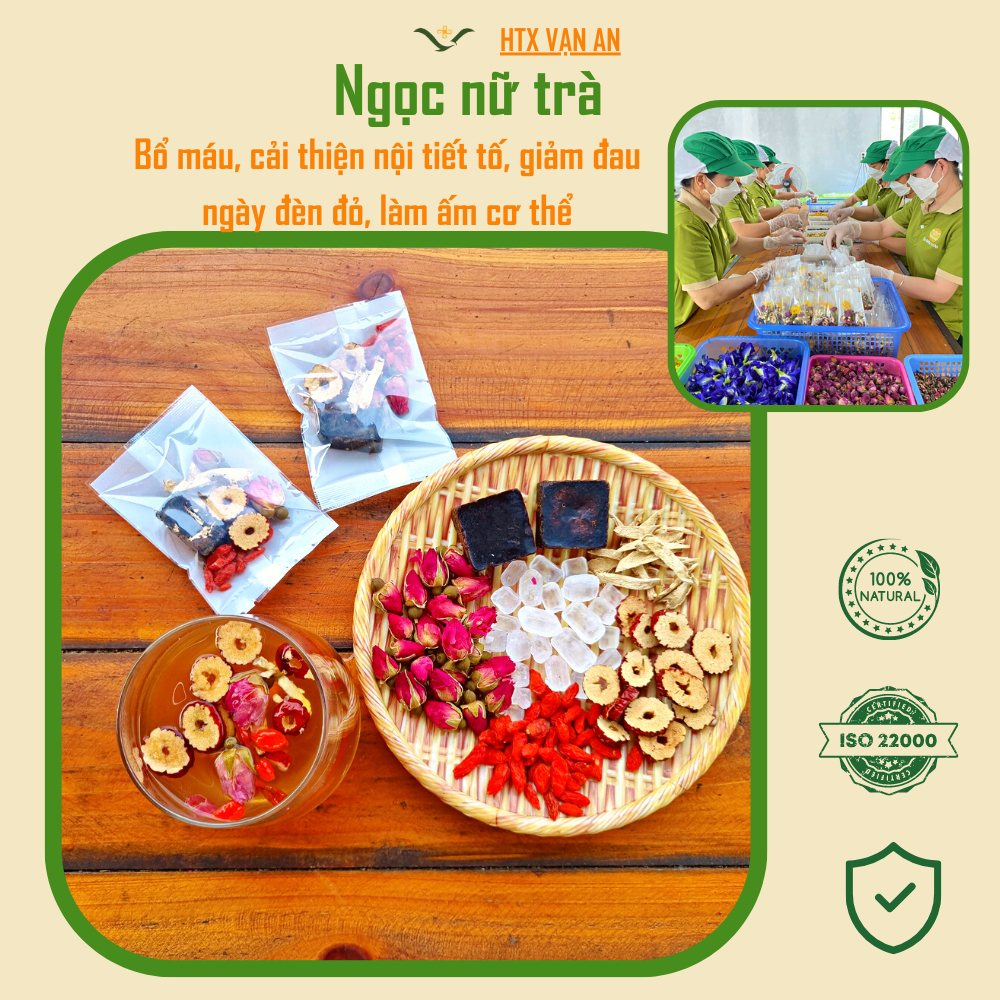 Ngọc nữ trà (T16) Trà thảo mộc cân bằng nội tiết tố, đẹp da, điều hòa kinh nguyệt.....