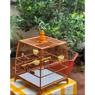 Khung lồng chim chào mào tự ráp lồng chim chào mào chất liệu trúc nóc 4P