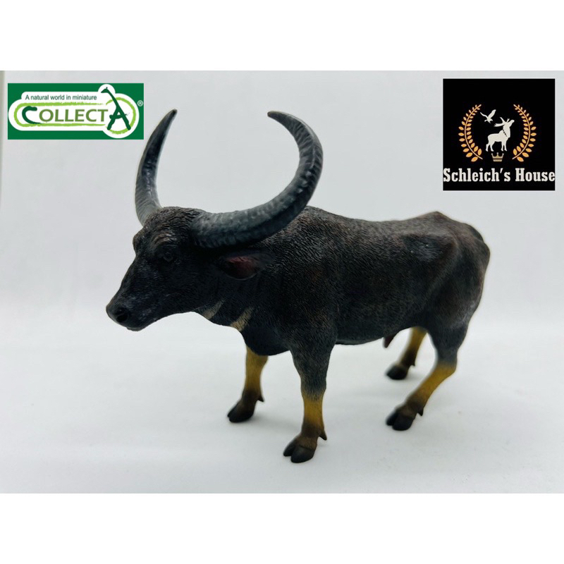 Mô hình động vật , đồ chơi con vật CollectA chính hãng Trâu rừng 88657 - Schleich House