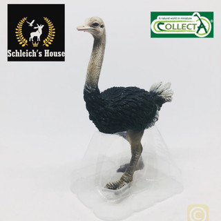 Mô hình động vật , đồ chơi con vật CollectA chính hãng chim Đà điểu 88459 - Schleich House