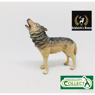 Mô hình động vật , đồ chơi con vật CollectA chó Sói Tru 88341 - Schleich House