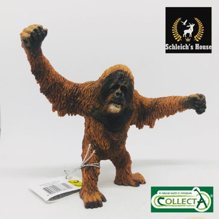 Mô hình động vật , đồ chơi con vật CollectA chính hãng Đười ươi 88730 - Schleich House