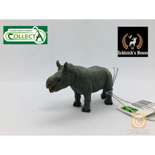 Mô hình động vật , đồ chơi con vật CollectA chính hãng Tê giác trắng con 88089 - Schleich House