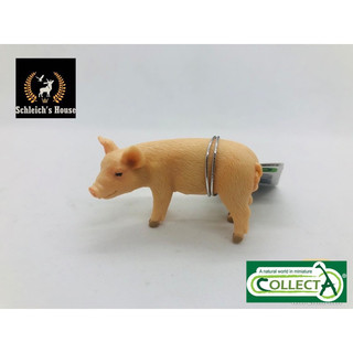 Mô hình động vật , đồ chơi con vật CollectA chính hãng Lợn con đứng 88063 - Schleich House