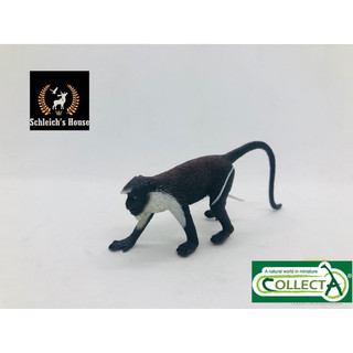 Mô hình động vật , đồ chơi con vật CollectA chính hãng Khỉ cổ bạc ( Diana monkey ) 88571 - Schleich House