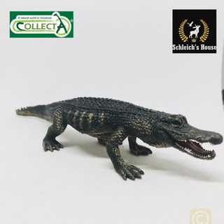 Mô hình động vật , đồ chơi con vật CollectA chính hãng Cá sấu mõm ngắn Mỹ 88609 - Schleich House