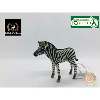 Mô hình động vật , đồ chơi con vật CollectA chính hãng Ngựa vằn con 88850 - Schleich House