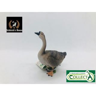 Mô hình động vật ,  đồ chơi con vật CollectA chính hãng Ngỗng 88571 - Schleich House