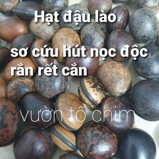 Hạt đậu lào
