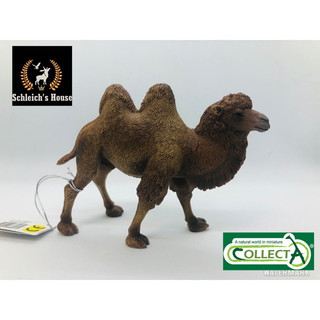 Mô hình động vật , đồ chơi con vật CollectA chính hãng Lạc đà hai bướu 88807 - Schleich House