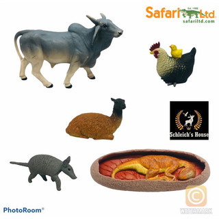 Mô hình động vật Safari Ltd Bò , Lạc đà alpaca , gà , khủng long , armadillo - Schleich House