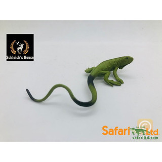 Mô hình động vật Safari Ltd chính hãng Kì nhông - Schleich House