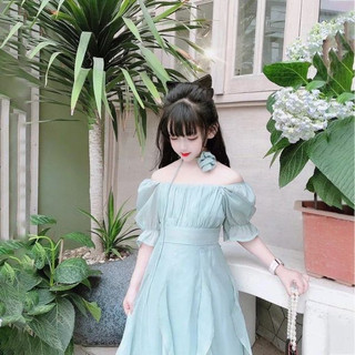 Siêu rẻ- đầm kèm tag cài hoa cao cấp siêu sang