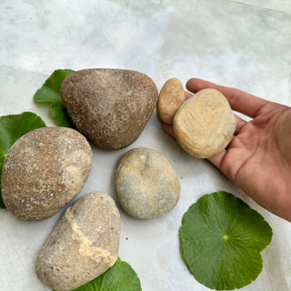 Đá cuội trang trí thủy sinh 1kg