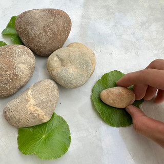 Đá cuội trang trí thủy sinh 1kg