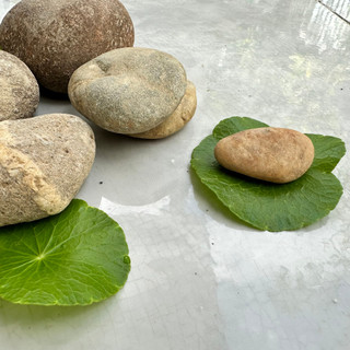 Đá cuội trang trí thủy sinh 1kg