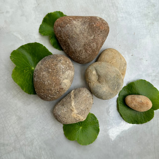 Đá cuội trang trí thủy sinh 1kg