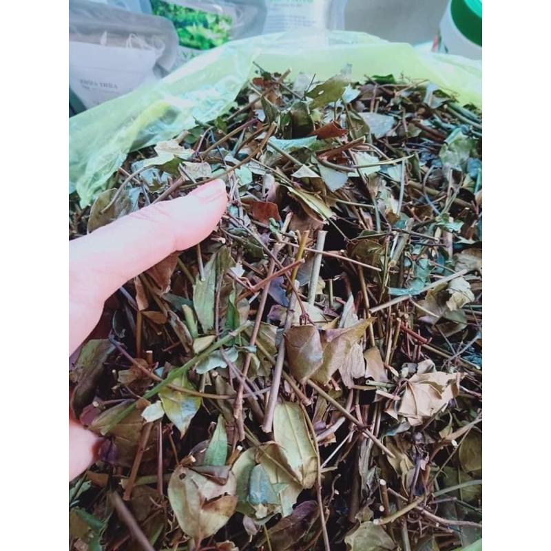 1Kg Chè Vằng Sẻ  lợi sữa, giảm cân, thanh nhiệt, mát gan