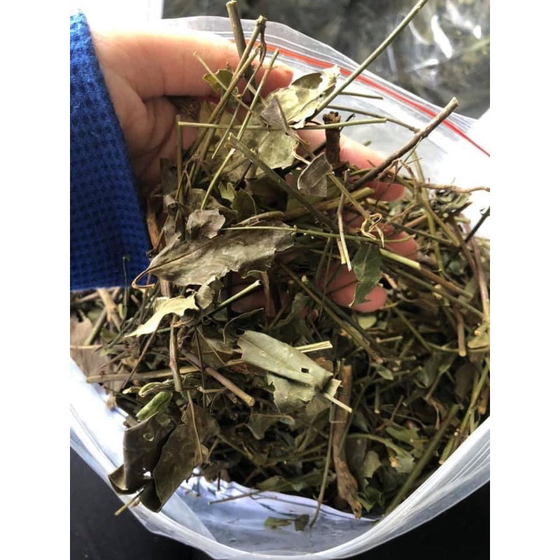 1Kg Chè Vằng Sẻ  lợi sữa, giảm cân, thanh nhiệt, mát gan