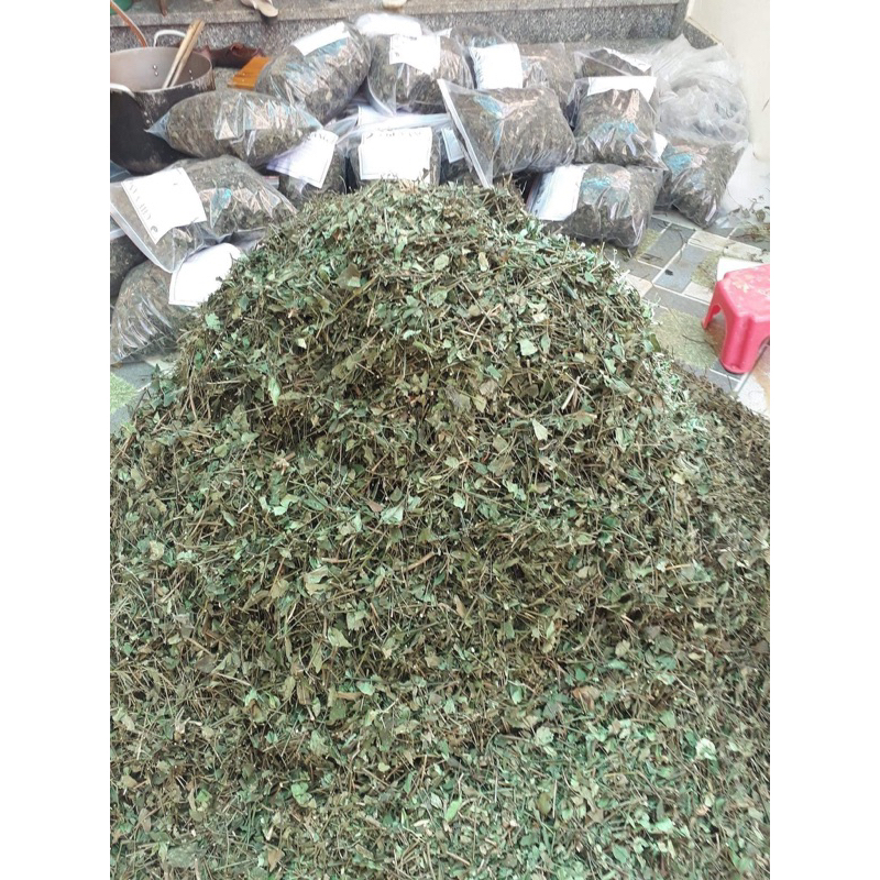 1Kg Chè Vằng Sẻ  lợi sữa, giảm cân, thanh nhiệt, mát gan