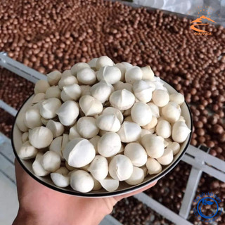 Nhân macca Lai Châu nguyên hạt, trồng hữu cơ sấy chín từ macca tươi. Mắc ca, mac ca sấy khô chín không vỏ, đã tách vỏ