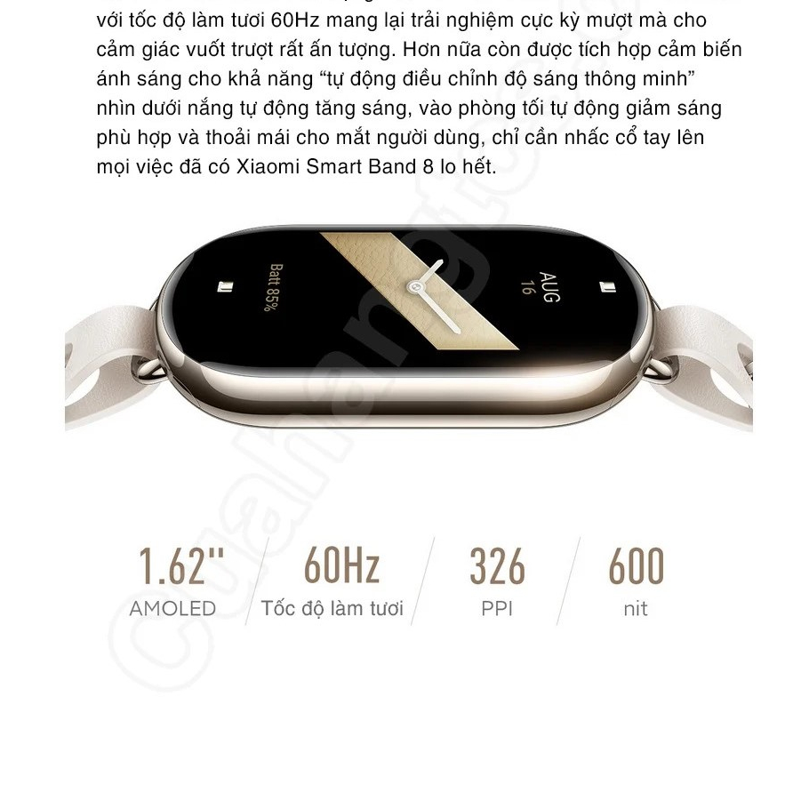 Vòng Đeo Tay Thông Minh XM MiBand 8 – New 2023