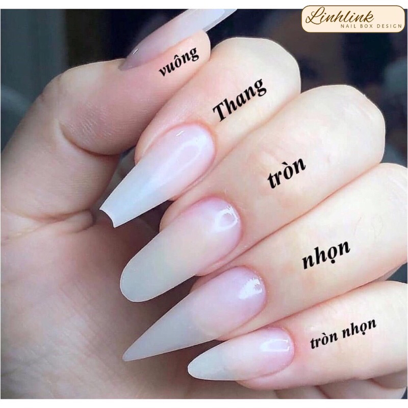 NAIL BOX SƠN GEL TRẮNG PHỐI SƠN THẠCH ĐÍNH ĐÁ