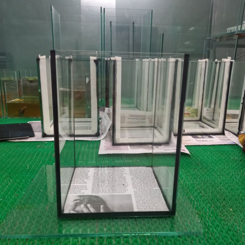 Bể cá đứng 20x20x30