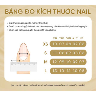 185. nailbox vẽ full. gấu bột nổi