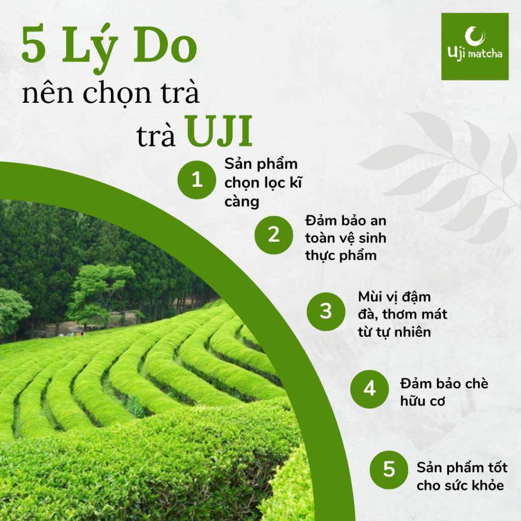 Bột trà xanh Matcha Ceremonial Grade nguyên chất gói 100g – Không đường, sữa