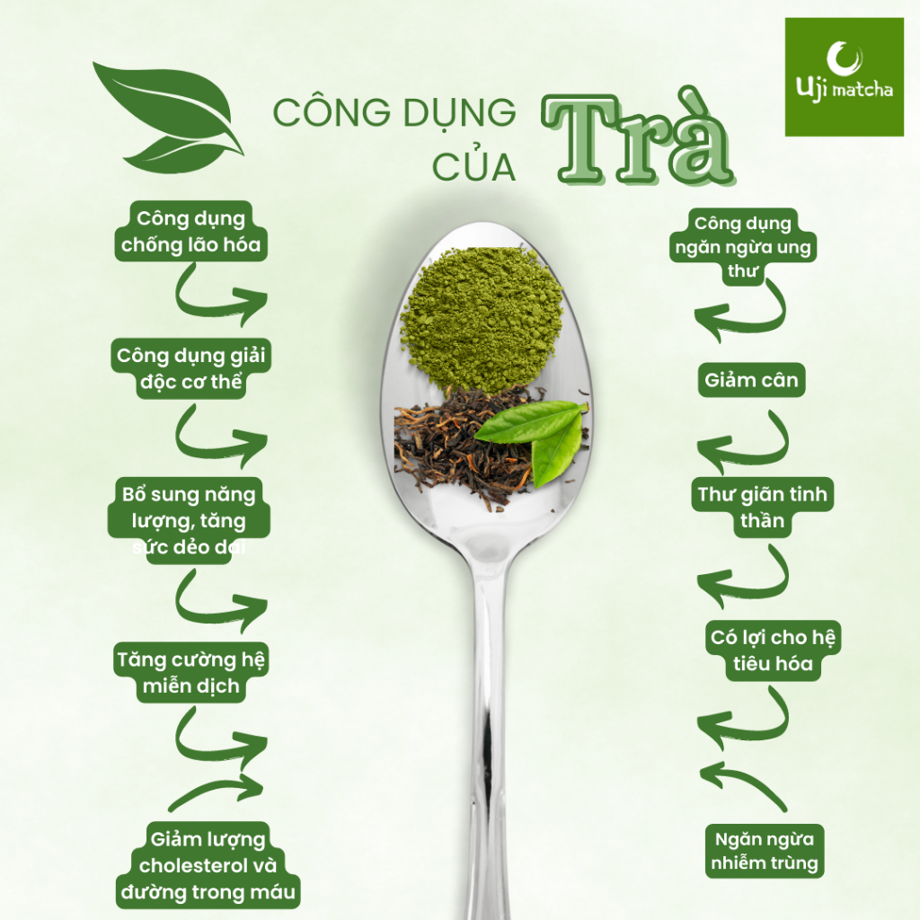 Bột trà xanh Matcha Ceremonial Grade nguyên chất gói 100g – Không đường, sữa