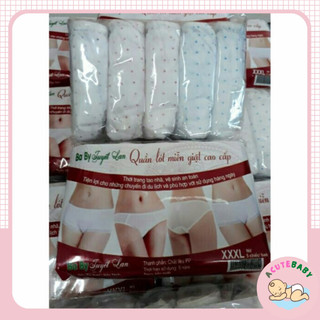 Quần lót giấy cho mẹ hàng Việt Nam (5 chiếc) (loại mới)