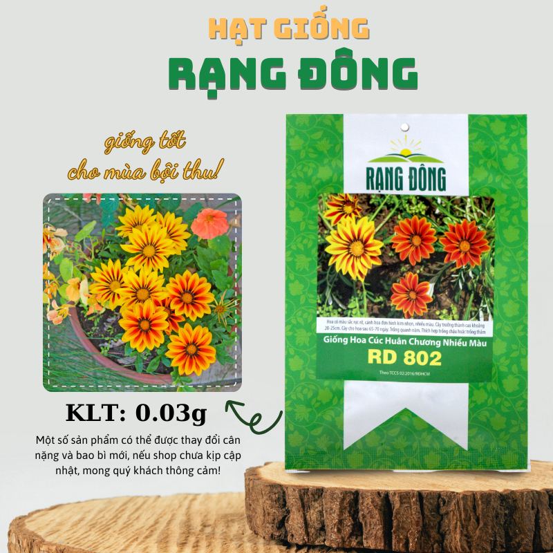 Hạt giống Hoa Cúc Huân Chương nhiều màu, thân cao 20-25cm, có thể trồng chậu hoặc sán vườn - Hạt giống Rạng Đông
