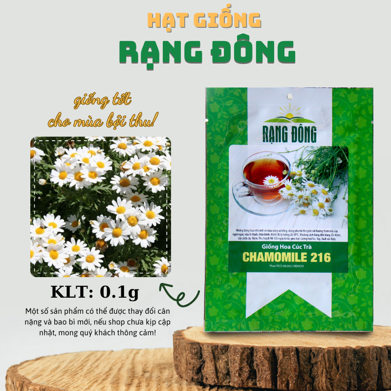 Hạt giống Hoa Cúc Trà - Hoa Cúc Họa Mi chuyên trồng làm trà (gói 0,1 gr) - Hạt giống Rạng Đông