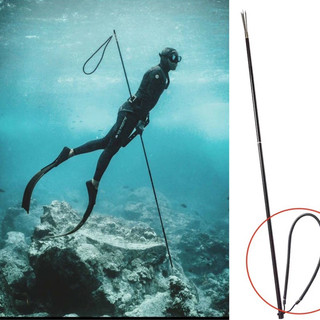 Lặn biển free diving spearfishing