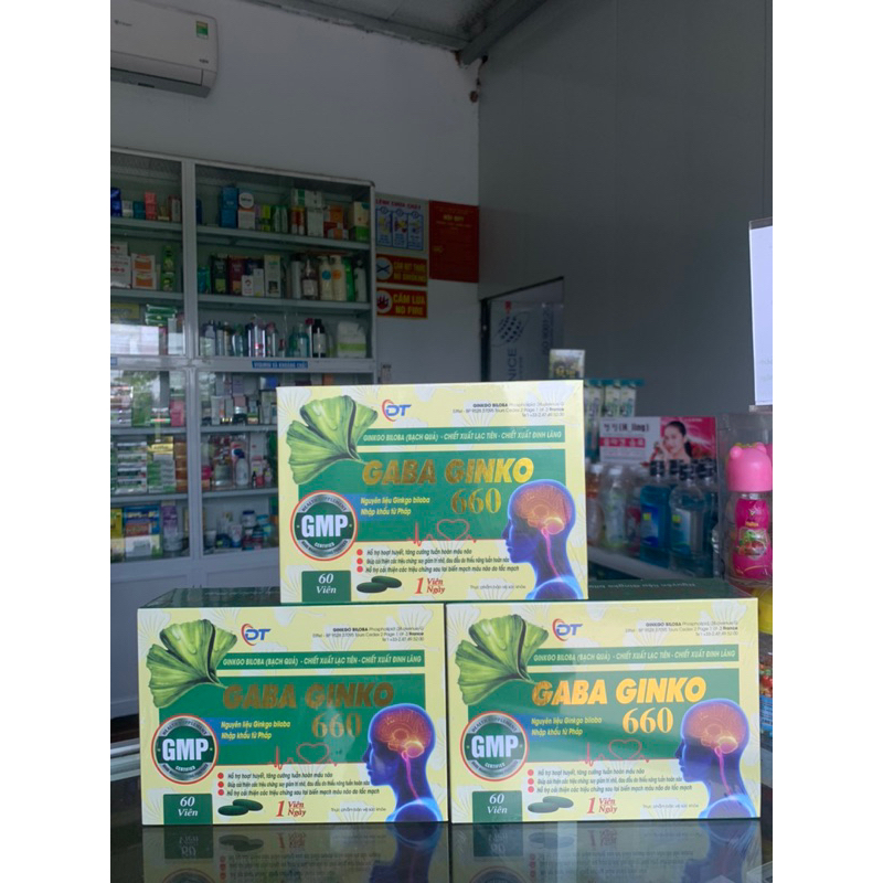 gaba ginko 660 bổ não