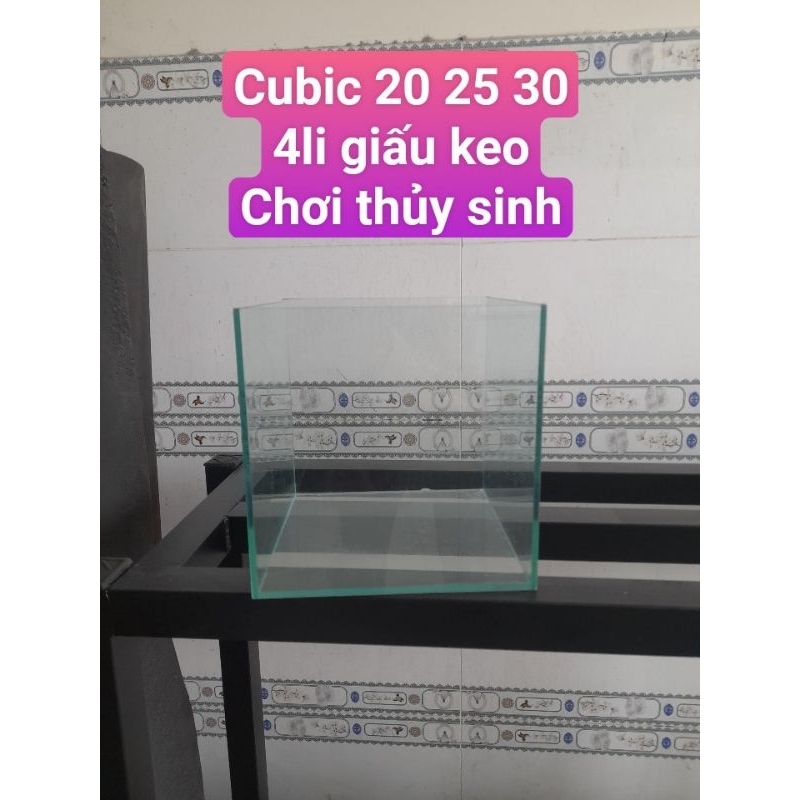 Hổ Cubic vuông 4 cạnh 20, 25, 30 cho anh em đam mê chơi thủy sinh, gupyy lóc