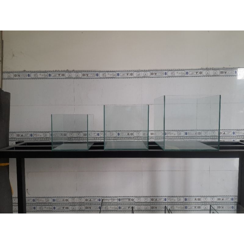 Hổ Cubic vuông 4 cạnh 20, 25, 30 cho anh em đam mê chơi thủy sinh, gupyy lóc