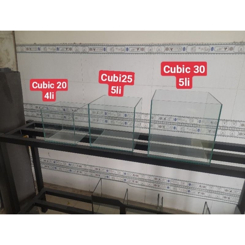 Hổ Cubic vuông 4 cạnh 20, 25, 30 cho anh em đam mê chơi thủy sinh, gupyy lóc