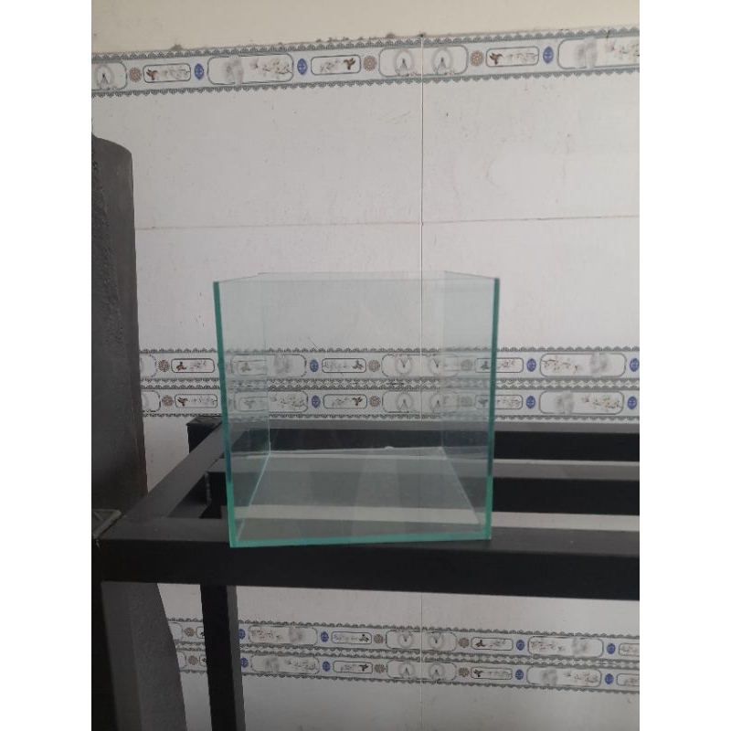 Hổ Cubic vuông 4 cạnh 20, 25, 30 cho anh em đam mê chơi thủy sinh, gupyy lóc