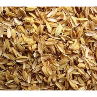 15kg trấu khô, trấu sống trộn đất
