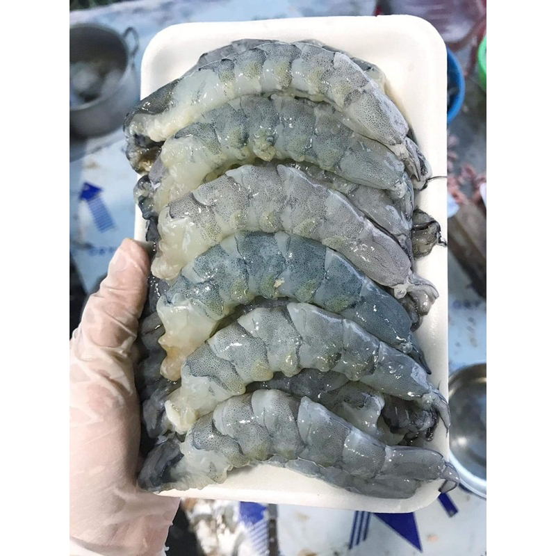 Nõn tôm  tươi sống size nhỡ ❤️GIÁ Sỉ❤️500gr tươi ngon ngọt