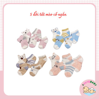 Tất lưới cho bé sơ sinh Sét 5 đôi vớ lưới mèo cho bé 2