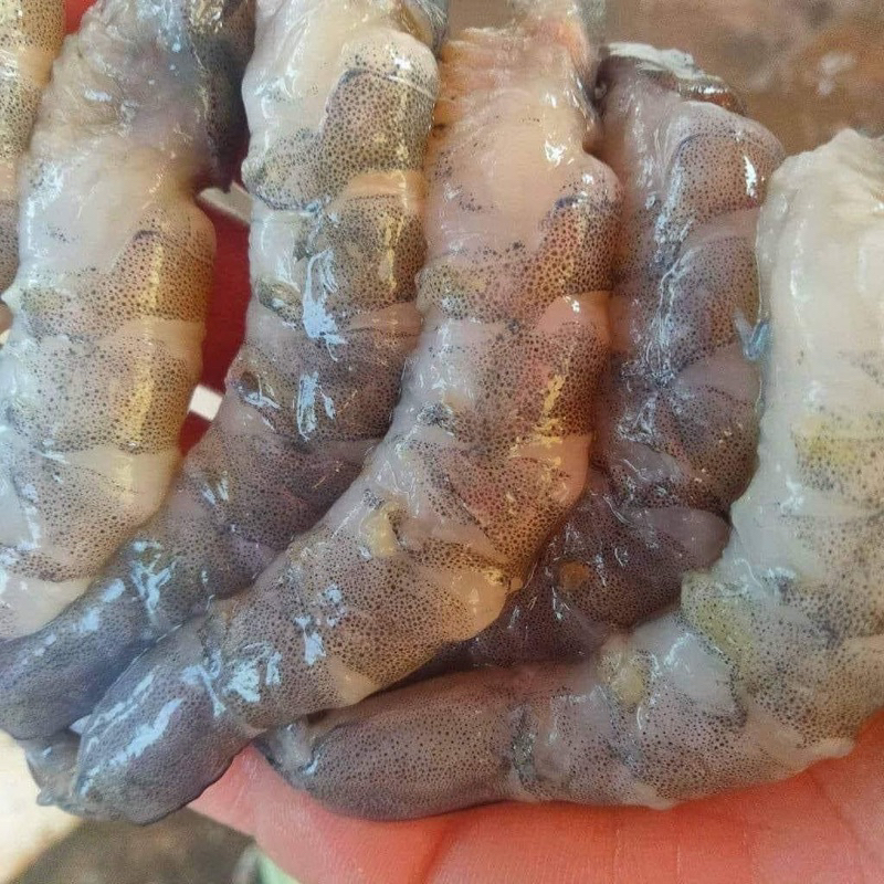Nõn tôm  tươi sống size nhỡ ❤️GIÁ Sỉ❤️500gr tươi ngon ngọt
