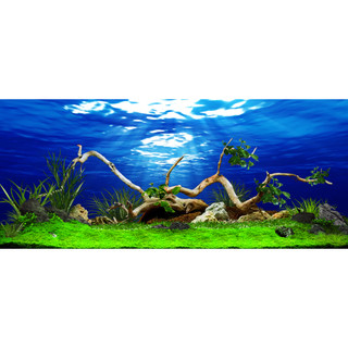 Decal 3D dán bể cá cảnh , chất lượng cao ,màu sắc chân thực sắc nét , kích thướt đủ loại lựa chọn