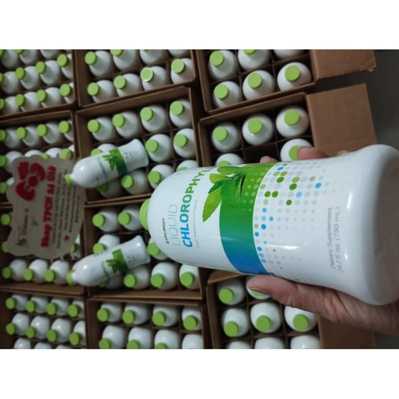 DIEP LUC SYNERGY LIQUID CHLOROPHYII KHO MỸ DATE 2025