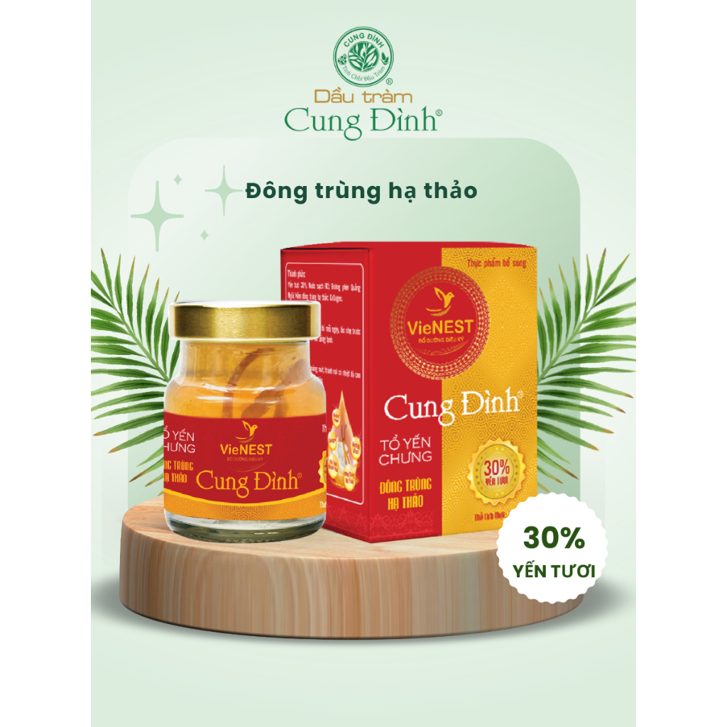 TỔ YẾN CHƯNG CUNG ĐÌNH